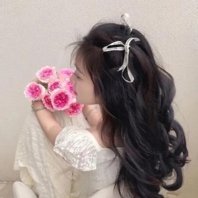 猫公主苏菲